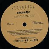 Anthony Nicholson Presents Miquifaye - Tribes Of Chant Pt Ii (the Spirit Of World)