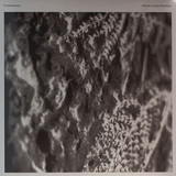 Alfredo Costa Monteiro - Endlessness