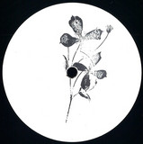 Roland Appel - Plangent#010