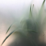 TIBSLC - Delusive Tongue Shifts - Situation Based Compositions 2x12"