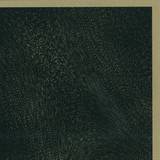 Sagat - Few Mysteries Solved In A Year