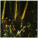 Nyteowl - Love Of Mine 2x10"