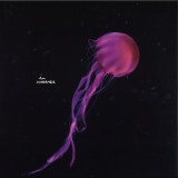 Flowers On Monday - Horizons