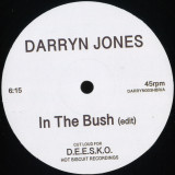 Darryn Jones - In The Bush / Now I Know