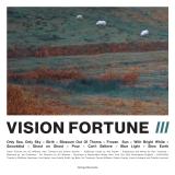 Vision Fortune - III LP
