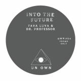 Fava Luva / Dr Professor - Into The Future