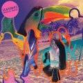 Seahawks - Paradise Freaks
