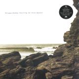 Polygon Window - Surfing On Sine Waves (LP 3x12")
