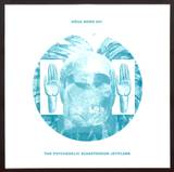 The Psychedelic Schafferson Jetplane - Membrillo's Ride / Rugby 7"