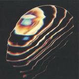 Bear Bones Lay Low - Hacia La Luz