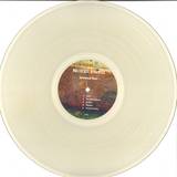 Multicast Dynamics - Continental Ruins