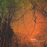 Plant43 - Edge Of The Wood