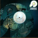 Dlr And Octane - The Fly / Jazzdub