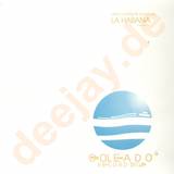 Dario Nunez & David Vio - La Habana