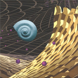 ZEN PARADOX - AMMONOIDEA EP