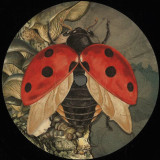 Floog - Enfasi Records 003