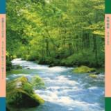 Shiho Yabuki - Alpha Wave Music LP