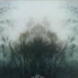 Dot - The Next Spot 2x12"