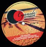 Jamin Hernandez - Everything Disappeared