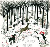 Stereofysh - The Race