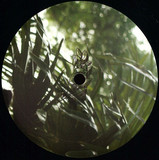 Botanic House Vol. II - Monstera Deliciosa