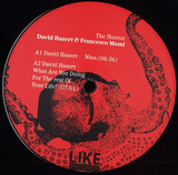 David Hasert & Francesco Mami - Nina / The Horror
