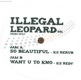 K2 (karizma) - So Beautiful