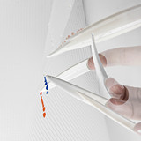 Wesqk Coast - S.T.A.S.H.