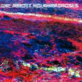 Luke Abbott - Holkham Drones