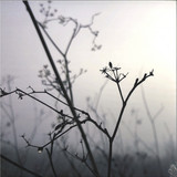 DAFR A.K.A. Matterwave - Rocío EP