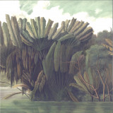 XIQUE-XIQUE - NA LAGOA 2x12"
