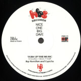 Roy Hamilton & Capiche - Turn Up The Music