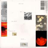 Polygonia, Simon Popp - Apiformes (LP)
