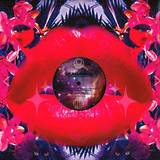 Seahawks - Adventures In The Land Of Woo