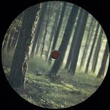 Pineland - Part 2