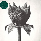 Masayoshi Fujita - Book Of Life