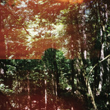 Jefre Cantu-Ledesma - In Summer