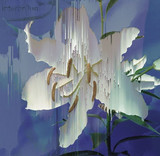 INTERBELLUM - FEBRUARI