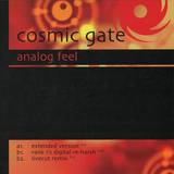 Cosmic Gate - Analog Feel