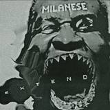 Milanese - Extend 2x12"