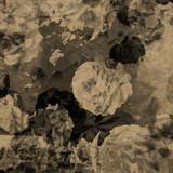 Edith Kirkyne - Apophenia