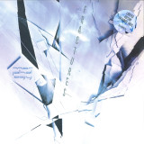 Morphology - Fractures 2x12"