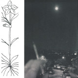 Jabu - A Soft and Gatherable Star LP