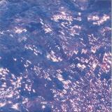 Katatonic Silentio - Water Dubs