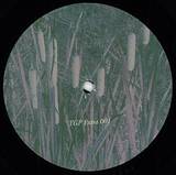 Claudio Prc / Ness - Typha / Carex