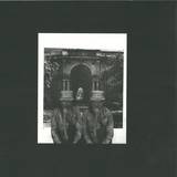 Dez Williams - Strength In Numbers