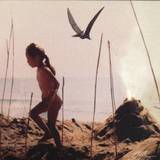 Pyur - Epoch Sinus Lp