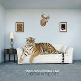 Union Analogtronics & Blu - Cheetah In The City
