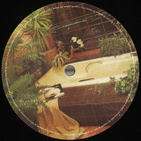 Various - Freedom Is Rising