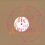 Field Of Dreams - Nothing Is Perfect